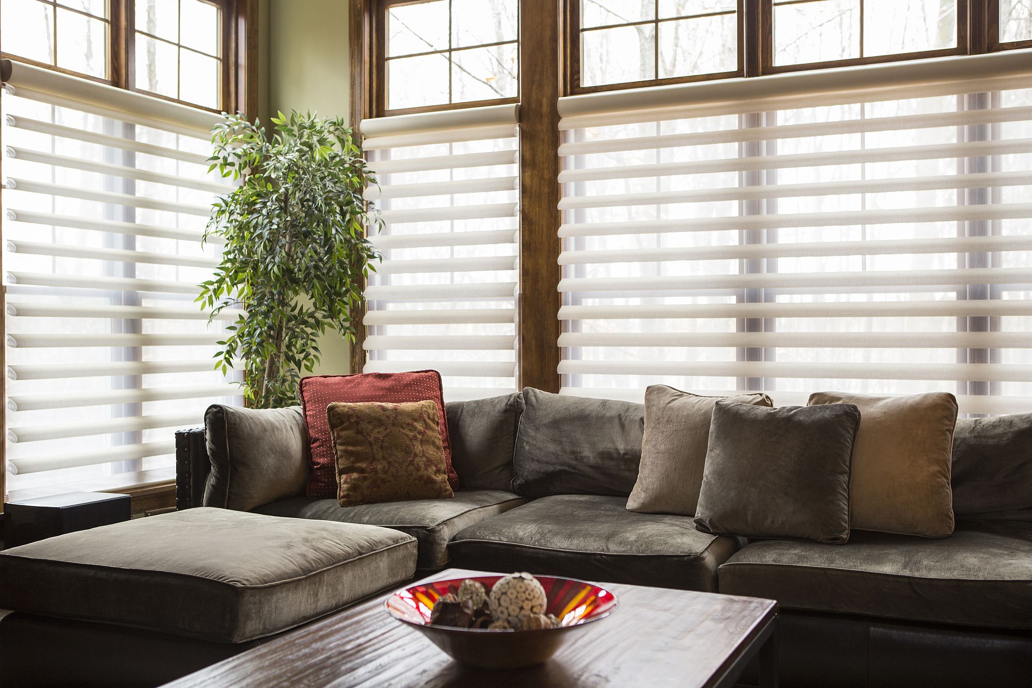 Tips To Choose The Right Blinds For You