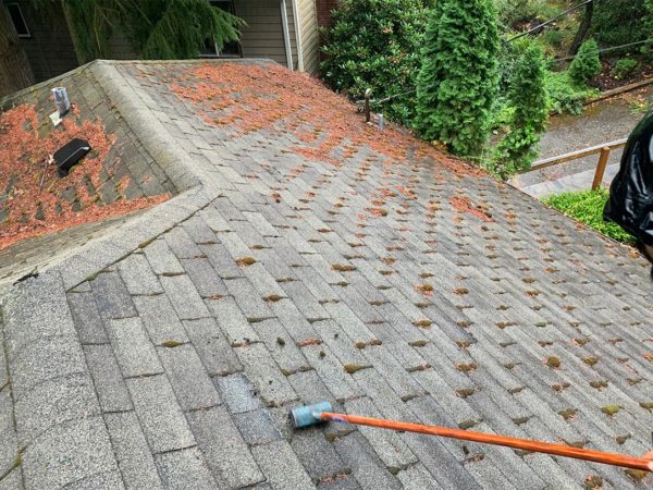 Why hire professionals for roof and gutter cleaning?