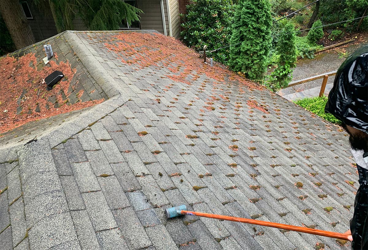 Why hire professionals for roof and gutter cleaning?