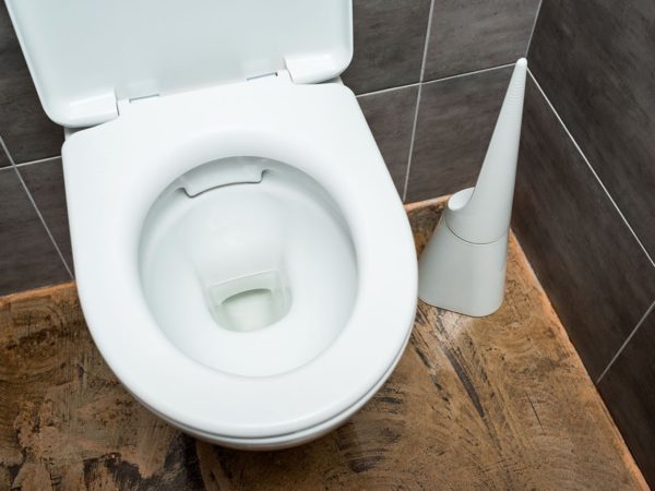 Know About Round Vs Elongated Toilet