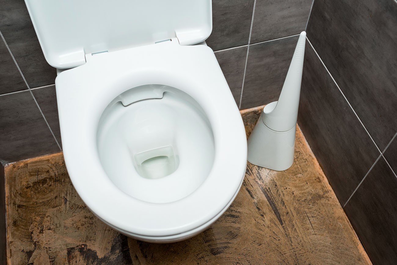 Know About Round Vs Elongated Toilet