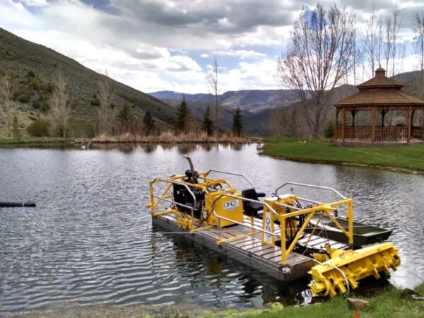 Proper pond maintenance
