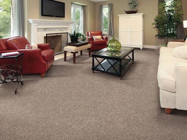 An Overview of Pile Styles and Textures of Wall-to-Wall Carpets