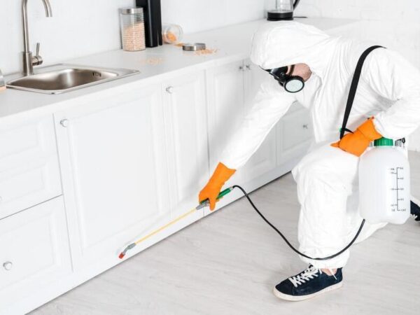 Why You Never See FURNITURE PEST CONTROL That Works