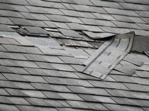 Common Reasons Behind Roof Damage and Simple Tips for Roof Leakage Repair